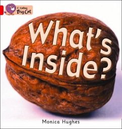 What's Inside? Workbook - Hughes, Monica