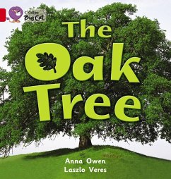 The Oak Tree Workbook - Owen, Anna