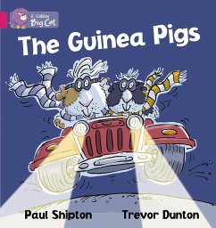 The Guinea Pigs Workbook - Shipton, Paul