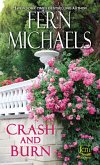 Crash and Burn (eBook, ePUB) Crash and Burn (eBook, ePUB)