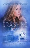 Crashing The Net (eBook, ePUB)