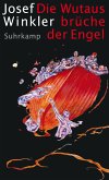 Die Wutausbrüche der Engel (eBook, ePUB)