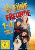 Fünf Freunde 1-4 DVD-Box
