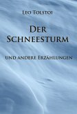 Der Schneesturm (eBook, ePUB)