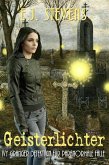 Geisterlichter (eBook, ePUB)