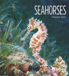 Seahorses - Gish, Melissa