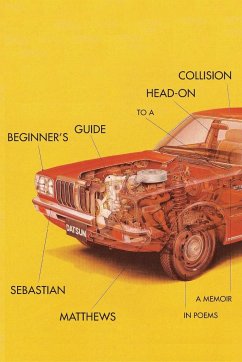 Beginner's Guide to a Head-On Collision - Matthews, Sebastian