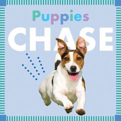 Puppies Chase - Glaser, Rebecca