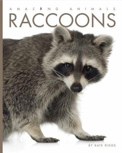 Raccoons - Riggs, Kate
