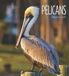 Pelicans - Gish, Melissa