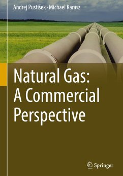 Natural Gas: A Commercial Perspective - Pustisek, Andrej;Karasz, Michael