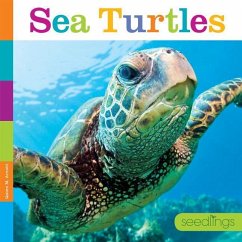 Sea Turtles - Arnold, Quinn M