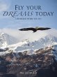 Fly your dreams today - Bild 1
