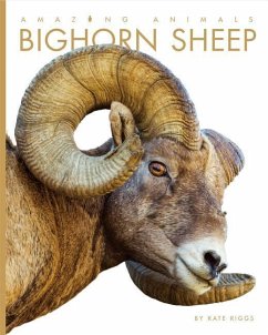 Amazing Animals: Bighorn Sheep - Riggs, Kate