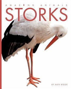 Amazing Animals: Storks - Riggs, Kate