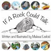 If A Rock Could Talk