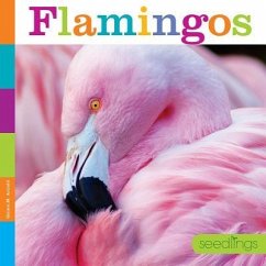 Seedlings: Flamingos - Arnold, Quinn M