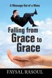 Falling from Grace to Grace - Bild 1