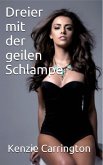 Dreier mit der geilen Schlampe (eBook, ePUB)