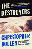 The Destroyers (eBook, ePUB)
