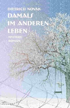 Damals im anderen Leben (eBook, ePUB) - Novak, Dietrich