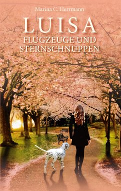 Luisa - Flugzeuge und Sternschnuppen (eBook, ePUB)