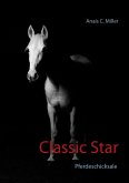 Classic Star (eBook, ePUB)