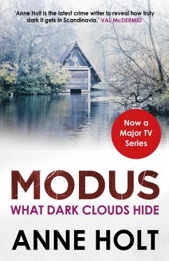 What Dark Clouds Hide (eBook, ePUB) - Holt, Anne