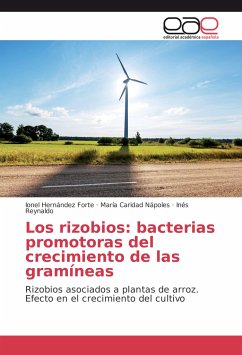 Los rizobios: bacterias promotoras del crecimiento de las gramíneas - Hernández Forte, Ionel;Nápoles, María Caridad;Reynaldo, Inés