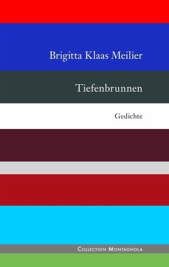 Tiefenbrunnen (eBook, ePUB) - Klaas Meilier, Brigitta