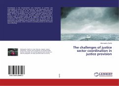 The challenges of justice sector coordination in justice provision