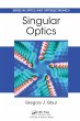 Singular Optics (eBook, PDF) - Bild 1