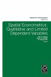 Spatial Econometrics (eBook, ePUB) - Bild 1