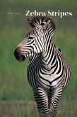 Zebra Stripes (eBook, ePUB)