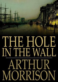 Cover Hole in the Wall (eBook, ePUB)