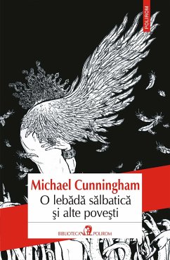 O lebădă sălbatică și alte povești (eBook, ePUB) - Cunningham, Michael