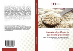 Impacts négatifs sur la qualité du grain de riz - Rasoazanakolona, Voahanginirina