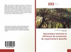 Dynamique racinaire et efficience de conversion du rayonnement absorbé