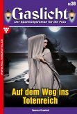 Auf dem Weg ins Totenreich (eBook, ePUB)