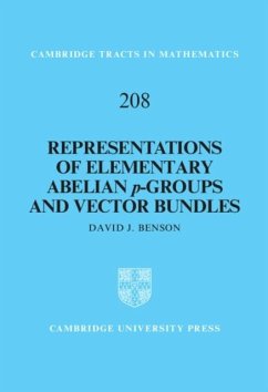 Representations of Elementary Abelian p-Groups and Vector Bundles (eBook, PDF) - Benson, David J.