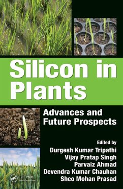 Silicon in Plants (eBook, PDF)