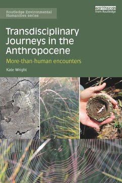 Transdisciplinary Journeys in the Anthropocene (eBook, ePUB) - Wright, Kate