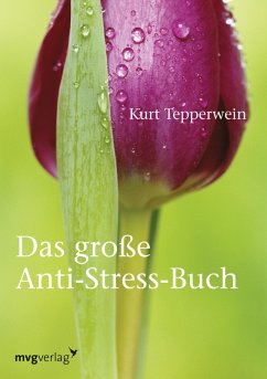 Das große Anti-Stress-Buch (eBook, ePUB) - Tepperwein, Kurt