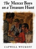 The Mercer Boys on a Treasure Hunt (eBook, ePUB)