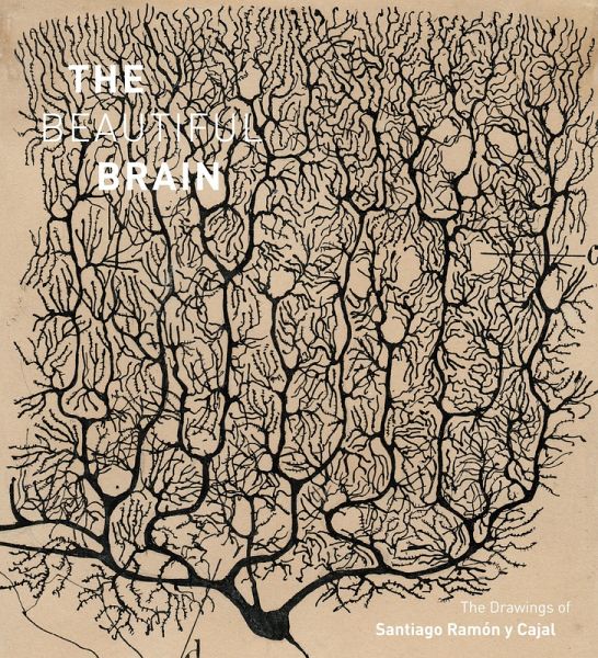 Beautiful Brain (eBook, ePUB) Beautiful Brain (eBook, ePUB)