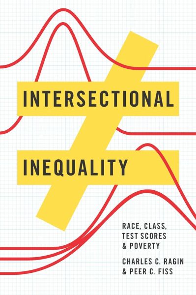 Intersectional Inequality (eBook, ePUB)