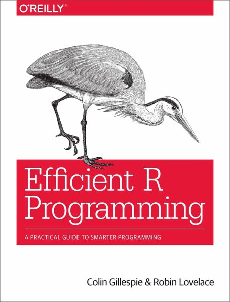 Efficient R Programming (eBook, PDF)