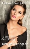 Fick mit dem Chef (eBook, ePUB)