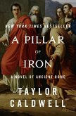A Pillar of Iron (eBook, ePUB)