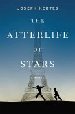 The Afterlife of Stars (eBook, ePUB)